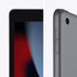 APPLE IPAD 9TH GEN  64GB WIFI SGY MK2K3PP/A