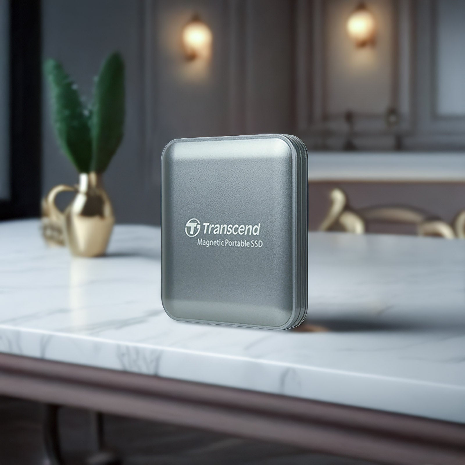 TRANSCEND TS1TESD420C 1TB EXTERNAL SSD BLK MAGSAFE IRON GRAY