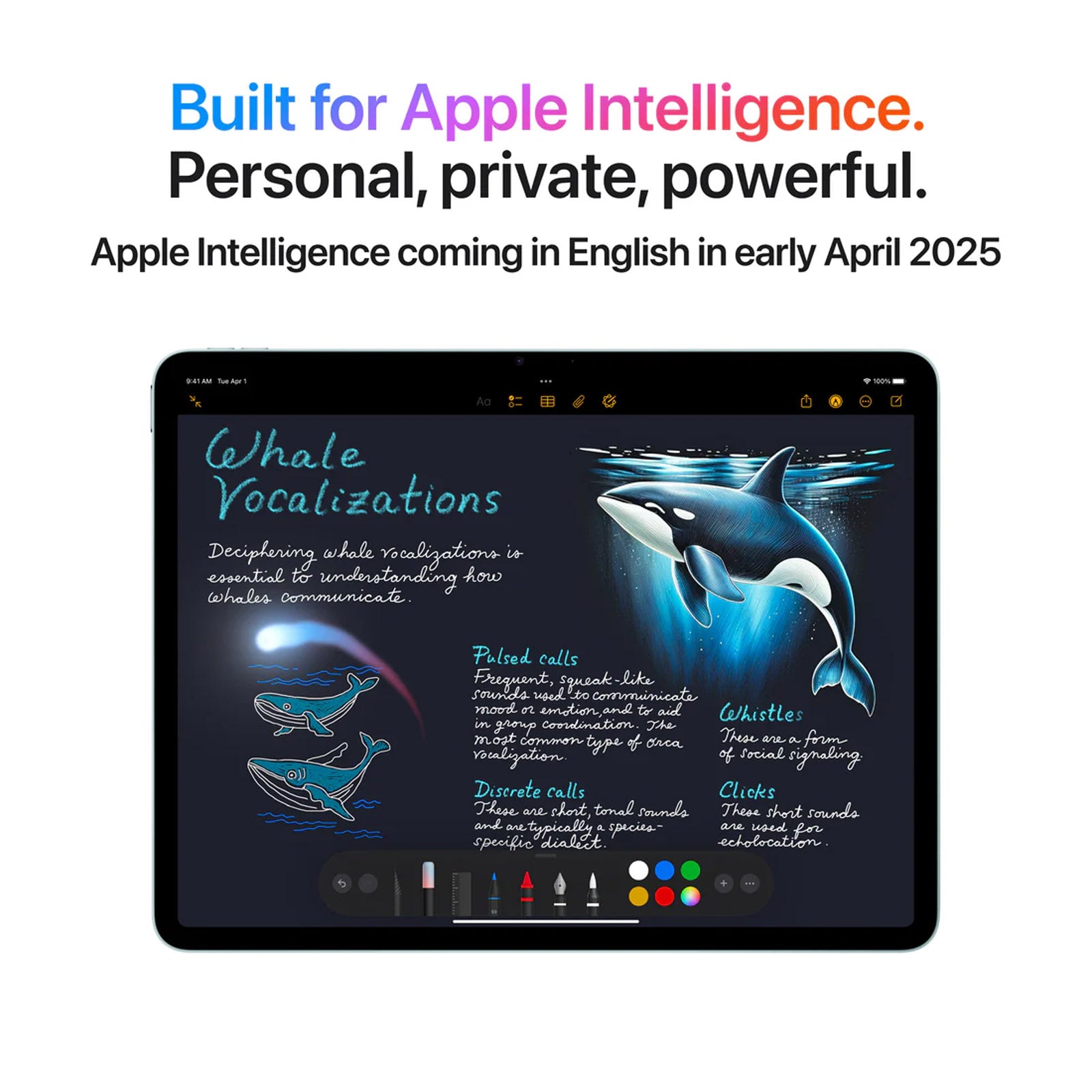 APPLE IPAD AIR 11 M3 128GB WIFI BU (MC9X4PP/A)
